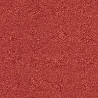 Ковровая плитка Interface Biosfera Boucle 7882 Rubino фото 1 | FLOORDEALER